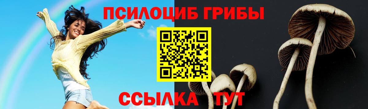 наркота  Галлюциногенные грибы Psilocybine cubensis  Вход с VPN  Галлюциногенные грибы мухоморы  Кудрово 