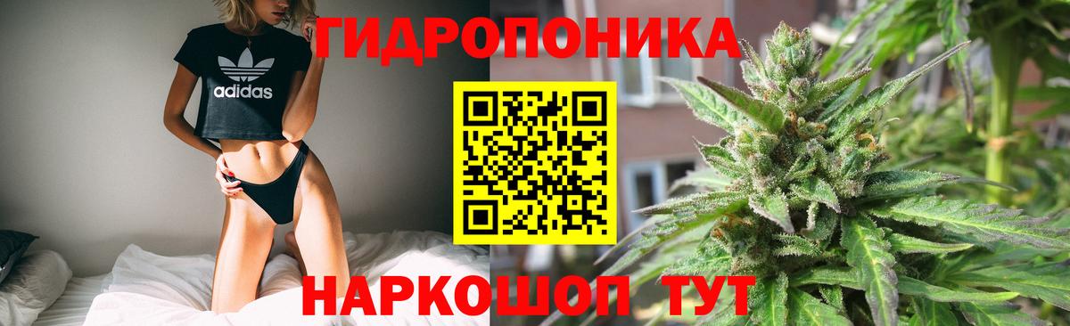 Канабис Bruce Banner Кудрово